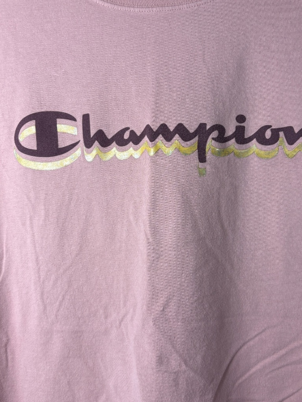 Champion Women Short Sleeve T Shirt Pink Double Logo Regular Fit Size 3XL